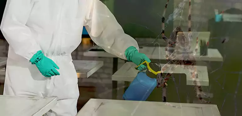 Why Buyers Still Want Homes With Pest Infestations in Colorado Springs, CO?