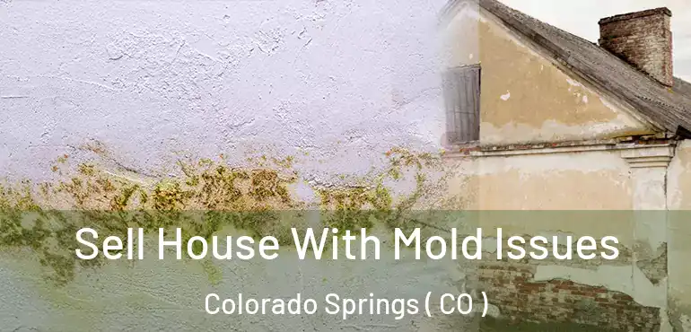  Sell House With Mold Issues Colorado Springs ( CO )